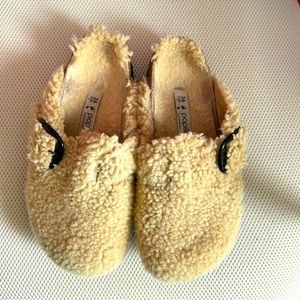 Size 36 teddy birkenstocks/papillo